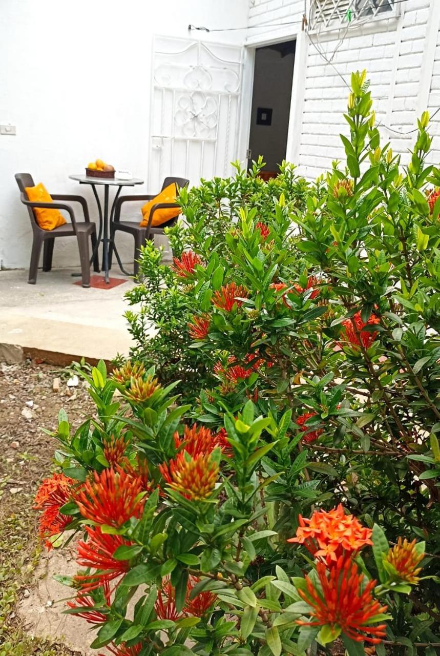 Hostal Corales Tolu Exterior photo