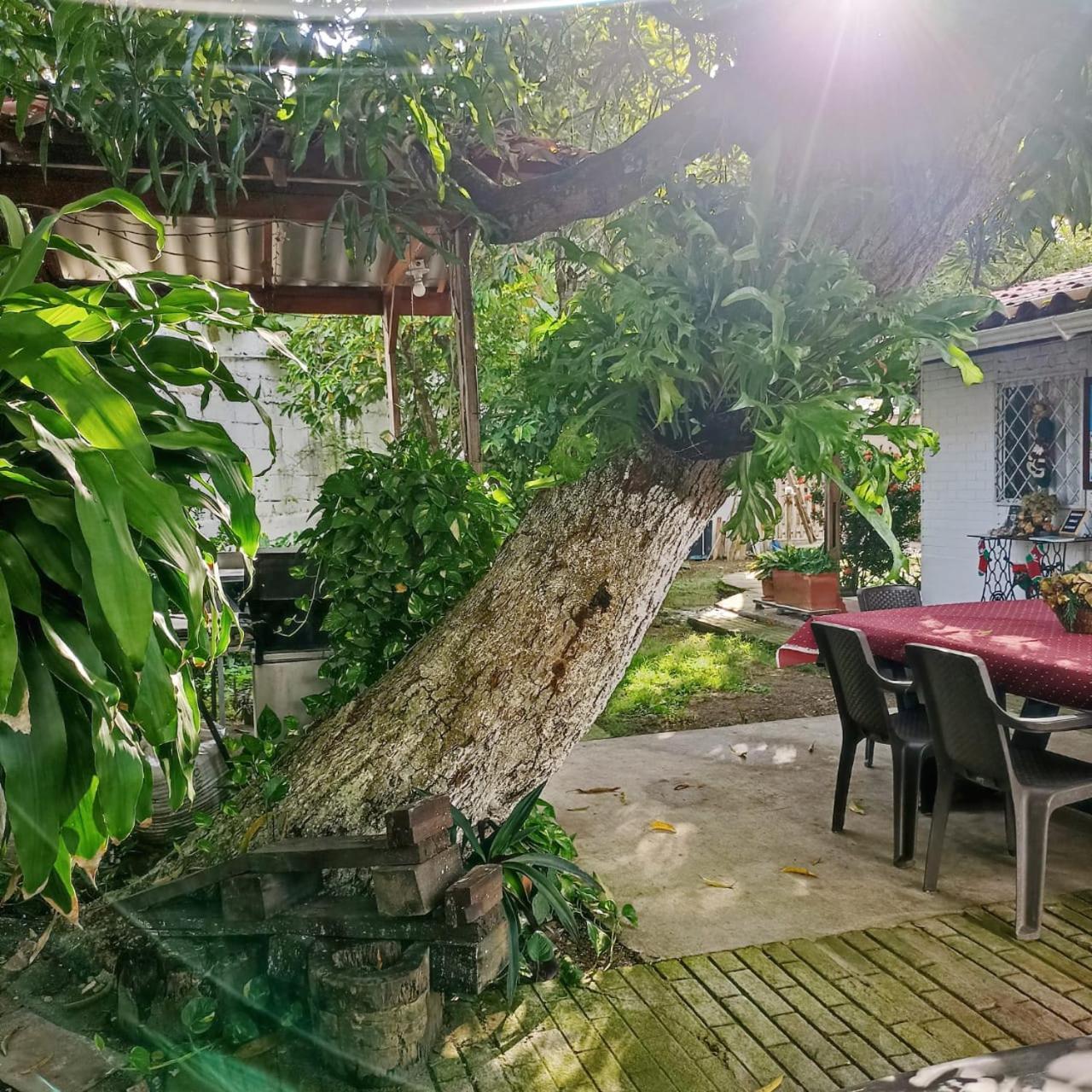 Hostal Corales Tolu Exterior photo