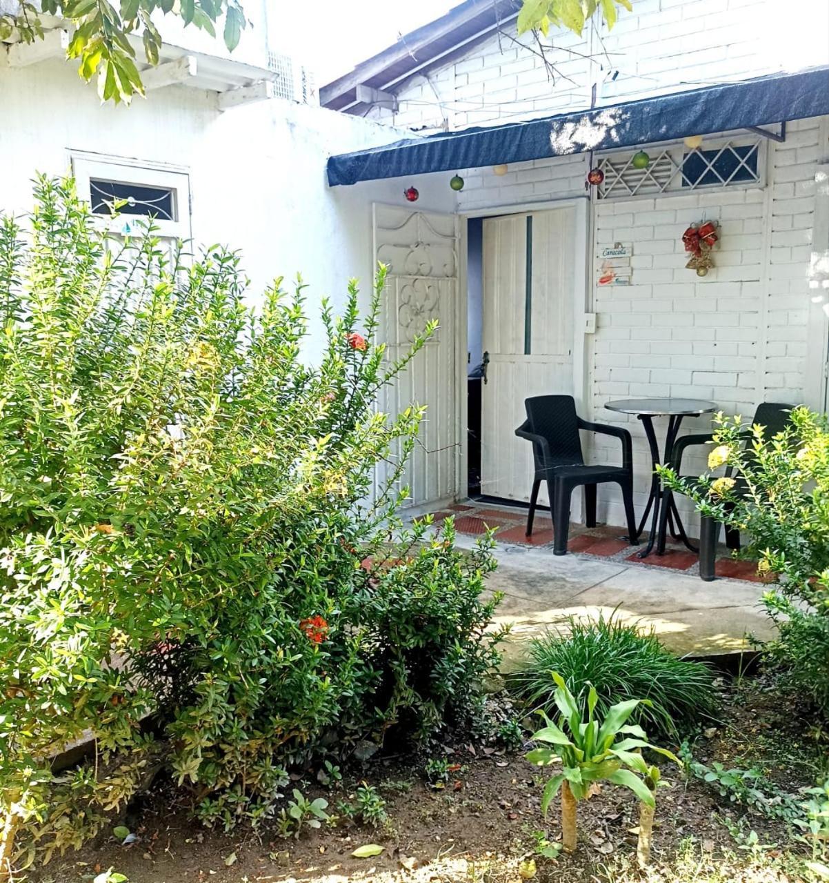 Hostal Corales Tolu Exterior photo